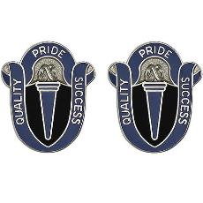 165th Military Intelligence Battalion Unit Crest (Quality Pride Success)